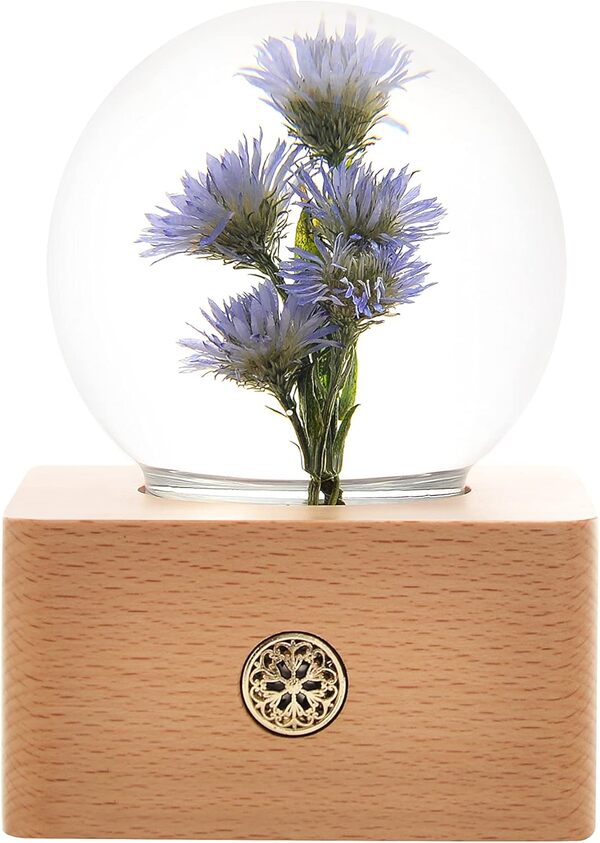 MISS LI GARDEN Forever Flowers Aster dans une boule de cristal 3D avec lumières LED, cadeau élégant pour petite amie, épouse, maman, femme, anniversaire de mariage, décoration d'intérieur