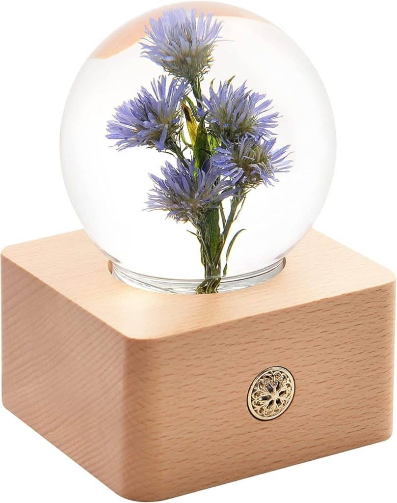 Avis sur la boule de cristal LED Forever Flowers Aster de Miss Li Garden