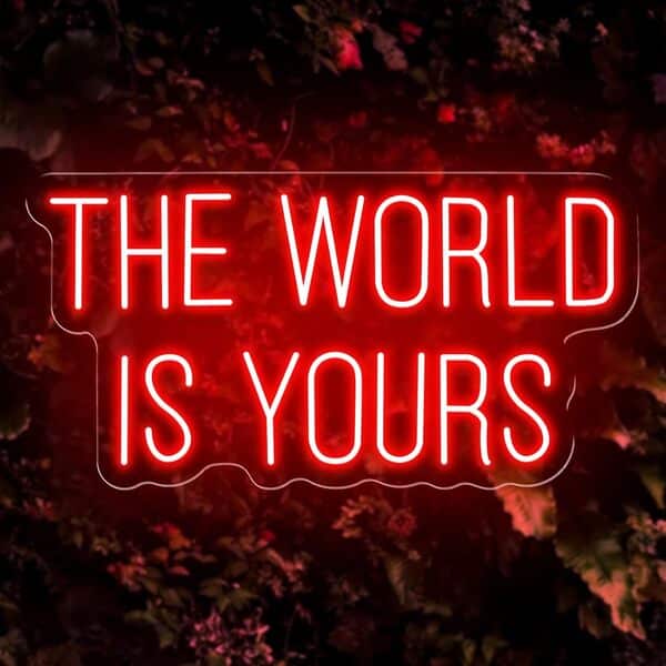 Panneau néon LED 3D personnalisable « The World is Yours » - 60 x 31 cm - Pour décoration murale, décoration de chambre ou de Noël - Rose