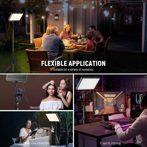 NEEWER BASICS Kit d'Lampe Photo, 2 Panneau LED, Bicolore 2700-6500K, Intensité Variable, avec 2 Trépieds de 59 pouces et 2 Supports de Téléphone,850lux pour Vidéo Photographie Tournage Streaming,BP300