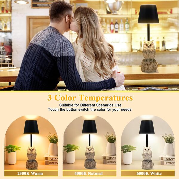 TYNLED Lampe de table chouette à 3 voies à intensité variable pour chambre à coucher, lampe de table sans fil, lampe de table à contrôle tactile avec port de charge USB C, batterie pour chambre à