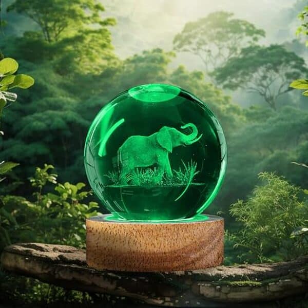 Découvrez notre avis détaillé sur la veilleuse 3D éléphant en verre 60 mm multicolore. Guide d'achat, caractéristiques et 16 couleurs pour sublimer votre intérieur.